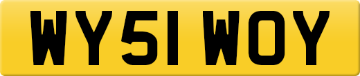 WY51WOY